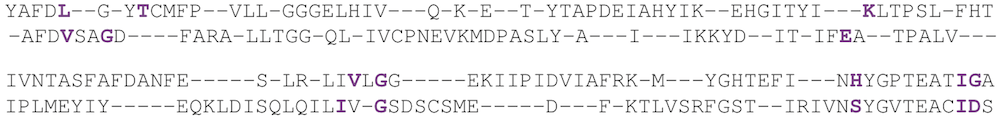 A domain 10