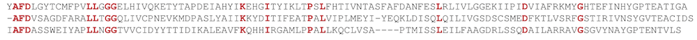 A domain 4