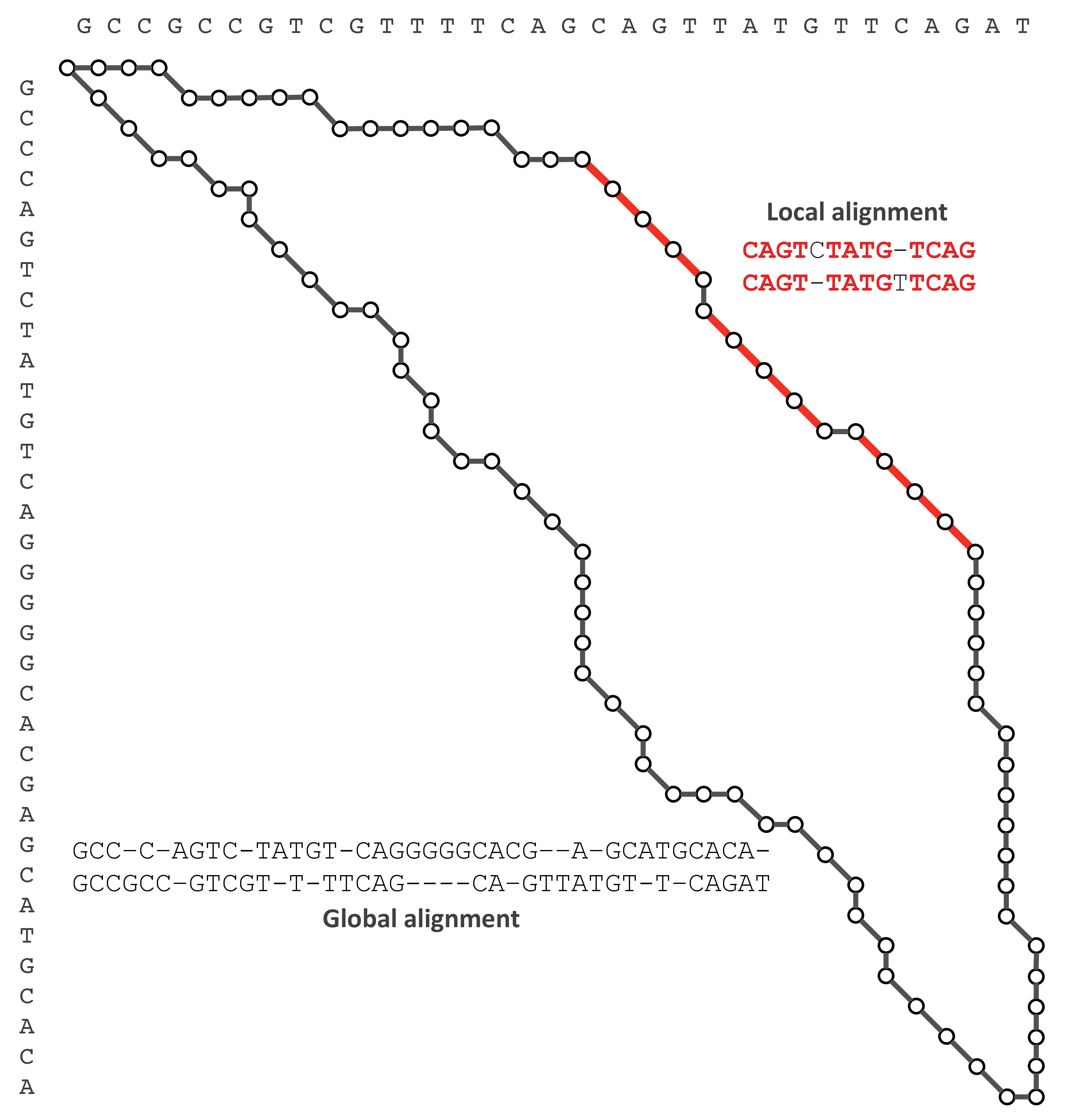 Global and local alignments