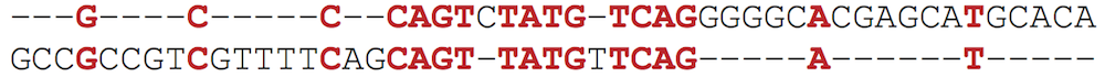 Homeodomain alignment 3