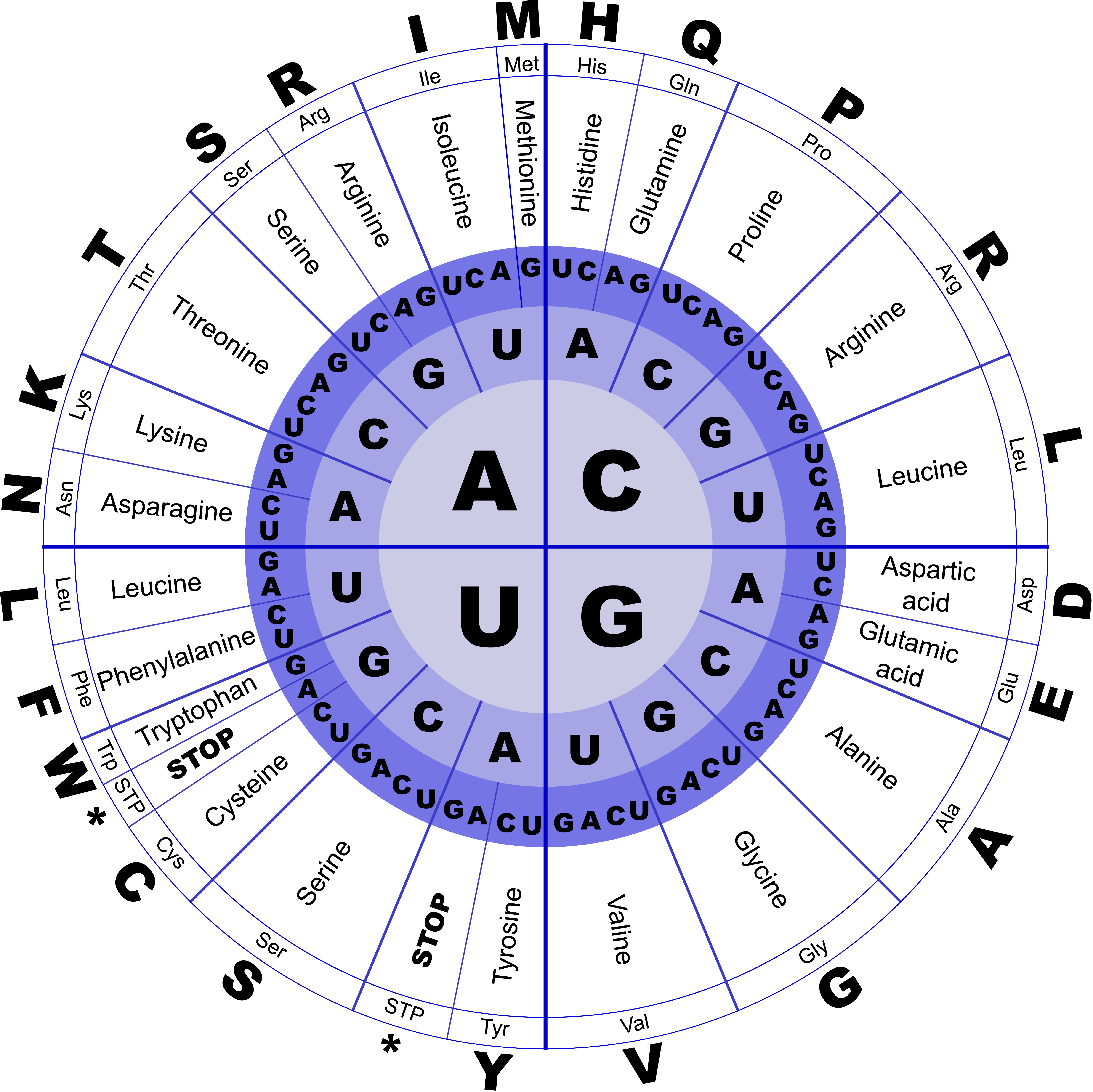Genetic code