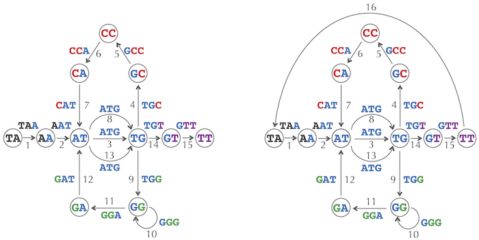 Eulerian path to cycle