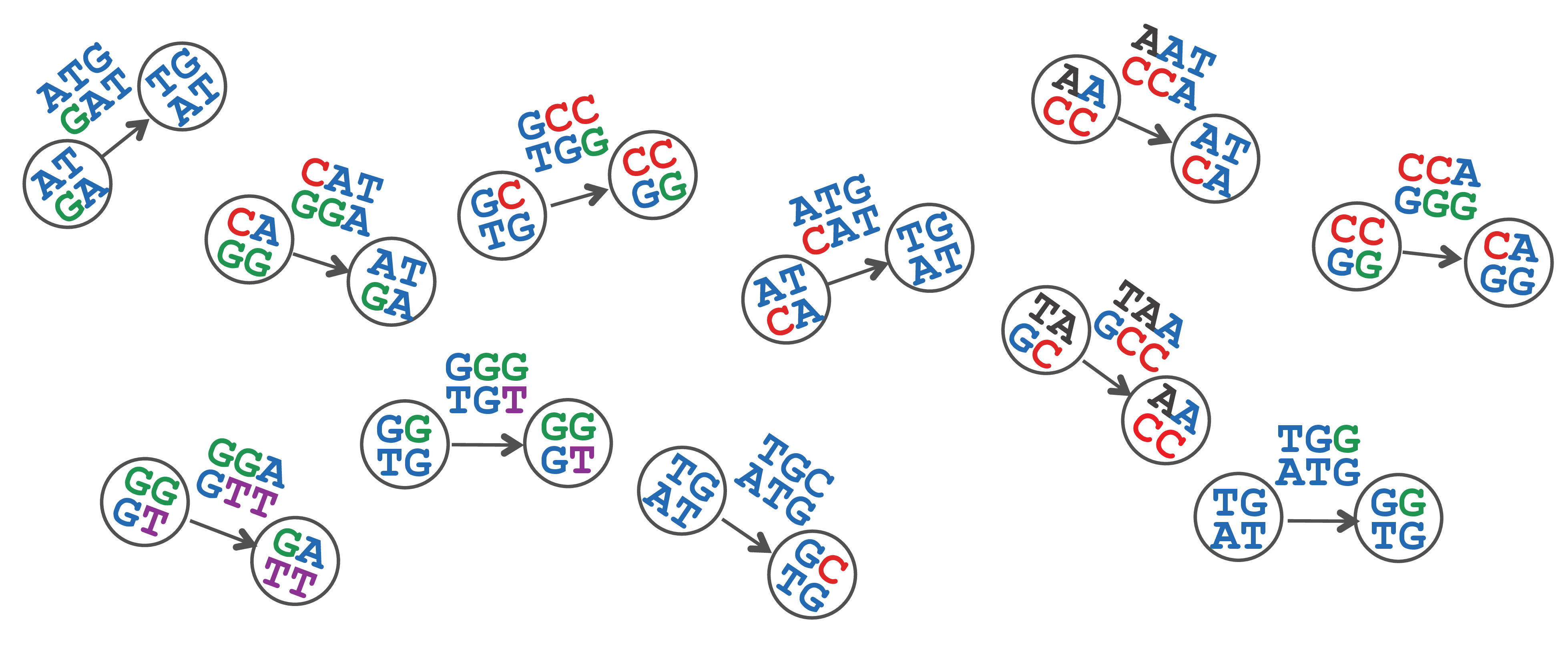 Composition graph paired reads