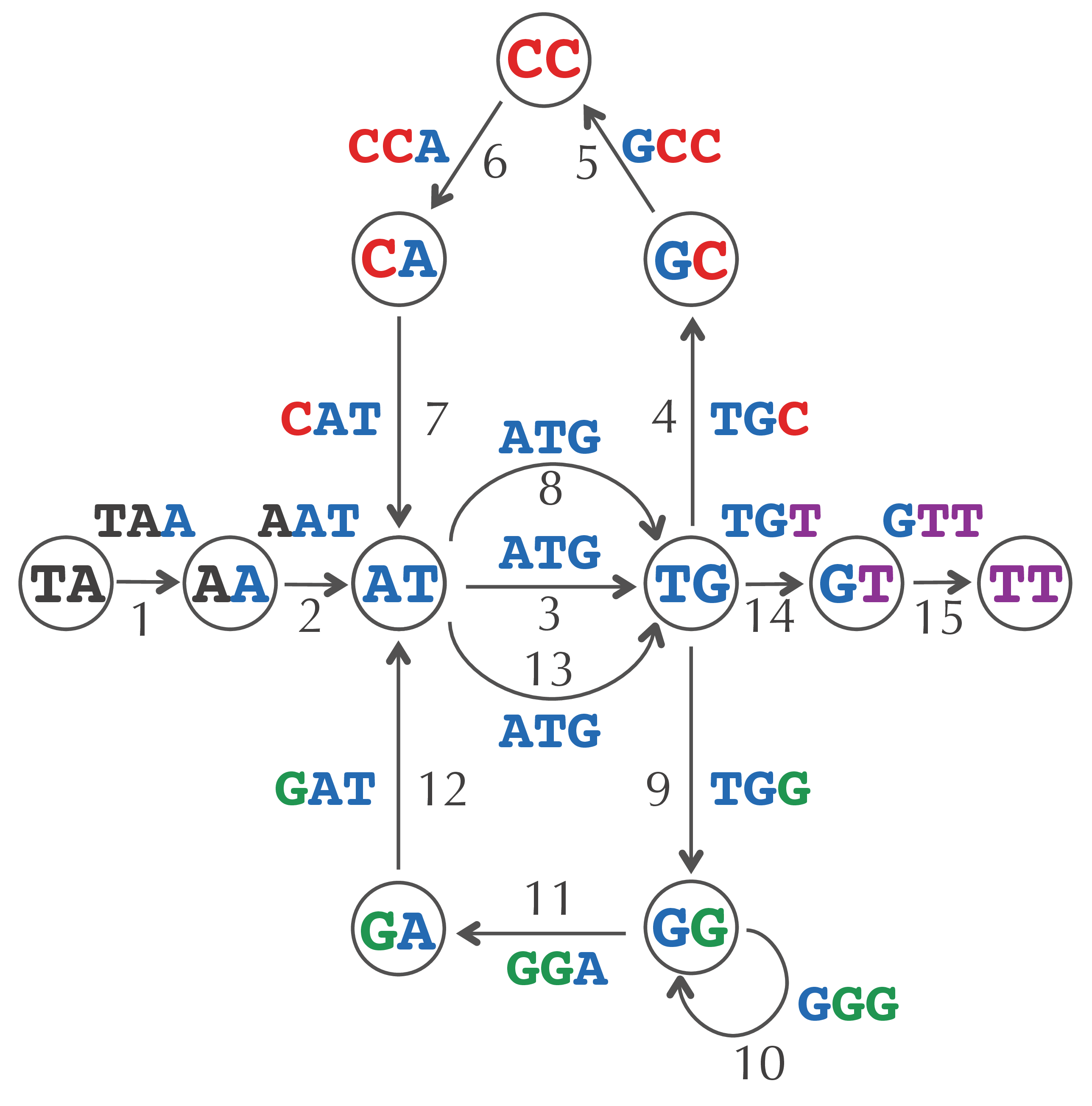 Debruijn graph eulerian path