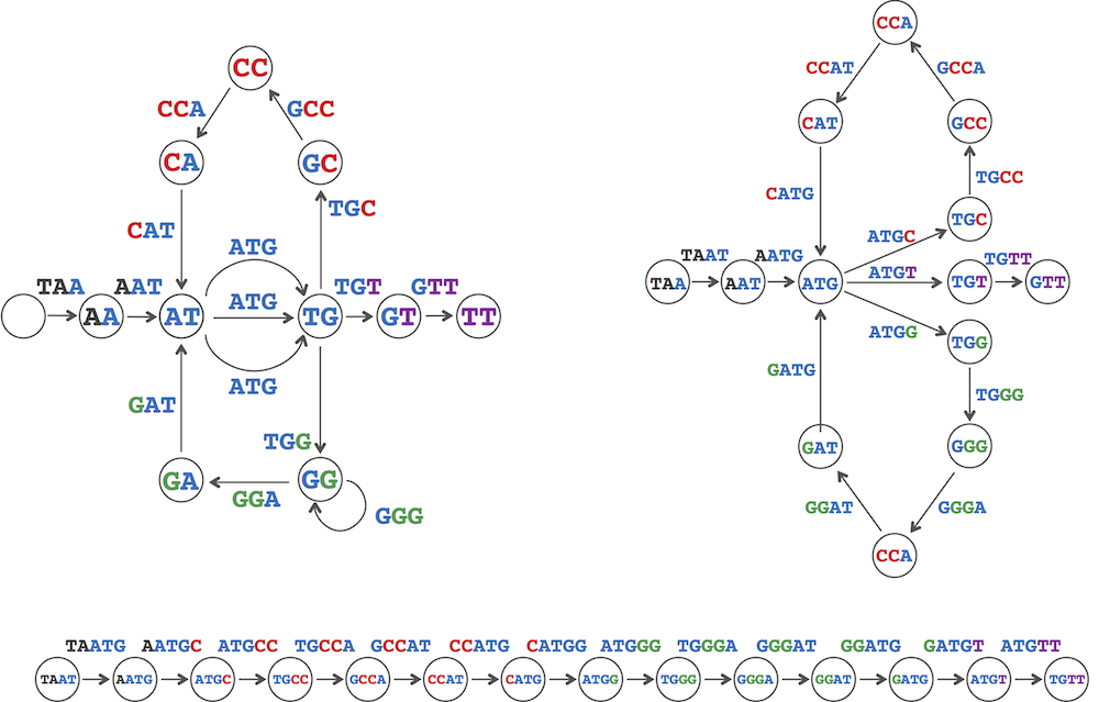 Debruijn graphs
