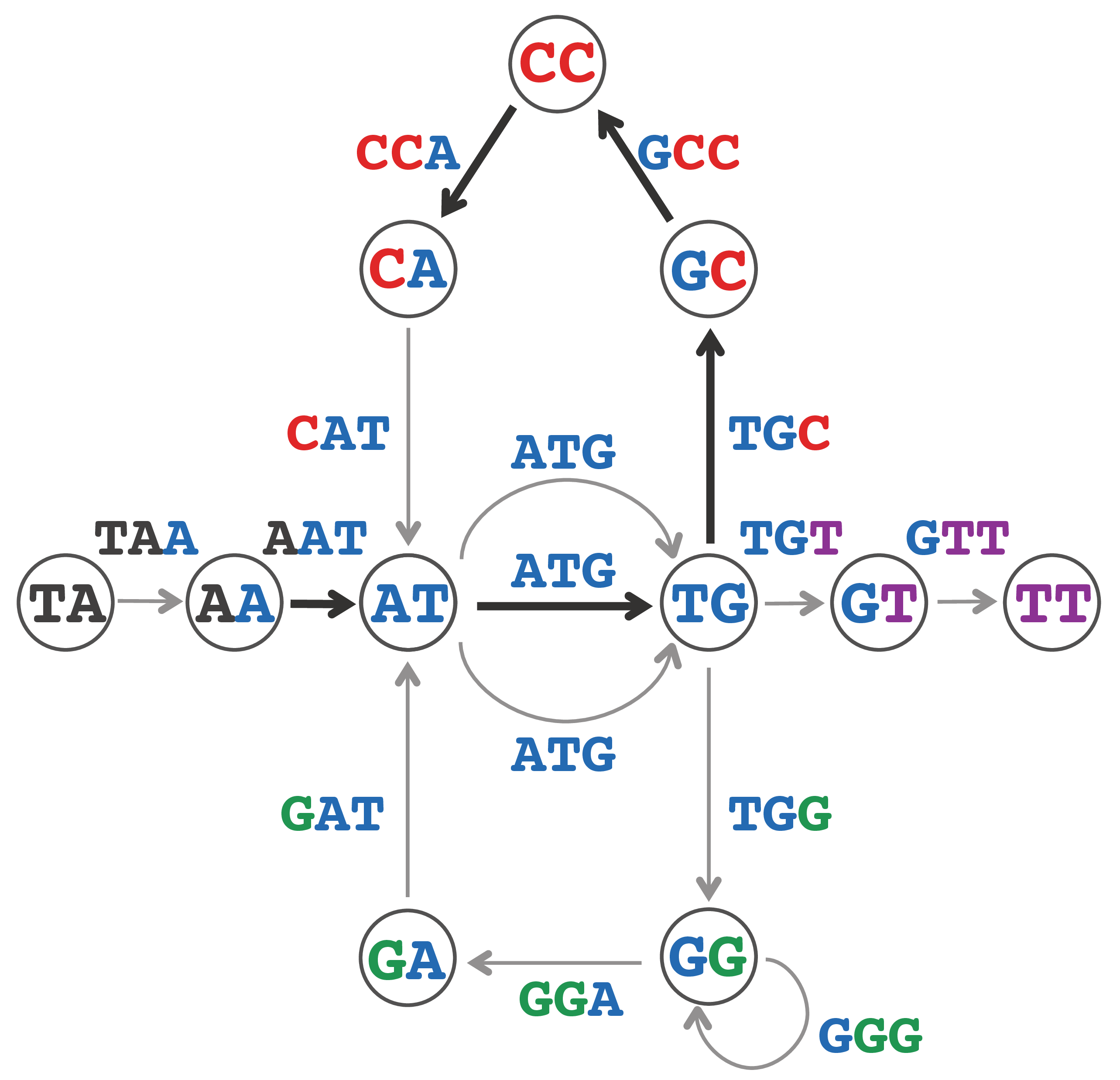 Path in paired reads graph