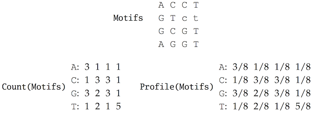 Gibbs 12