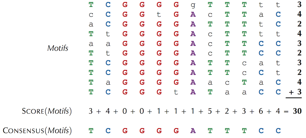Motifs score consensus