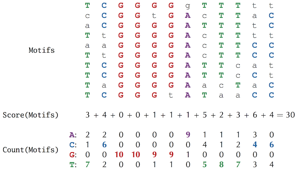 Motifs score count