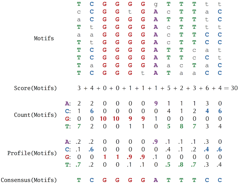 Motifs score count profile consensus