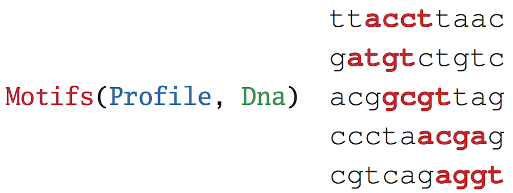 Randomized profile 2