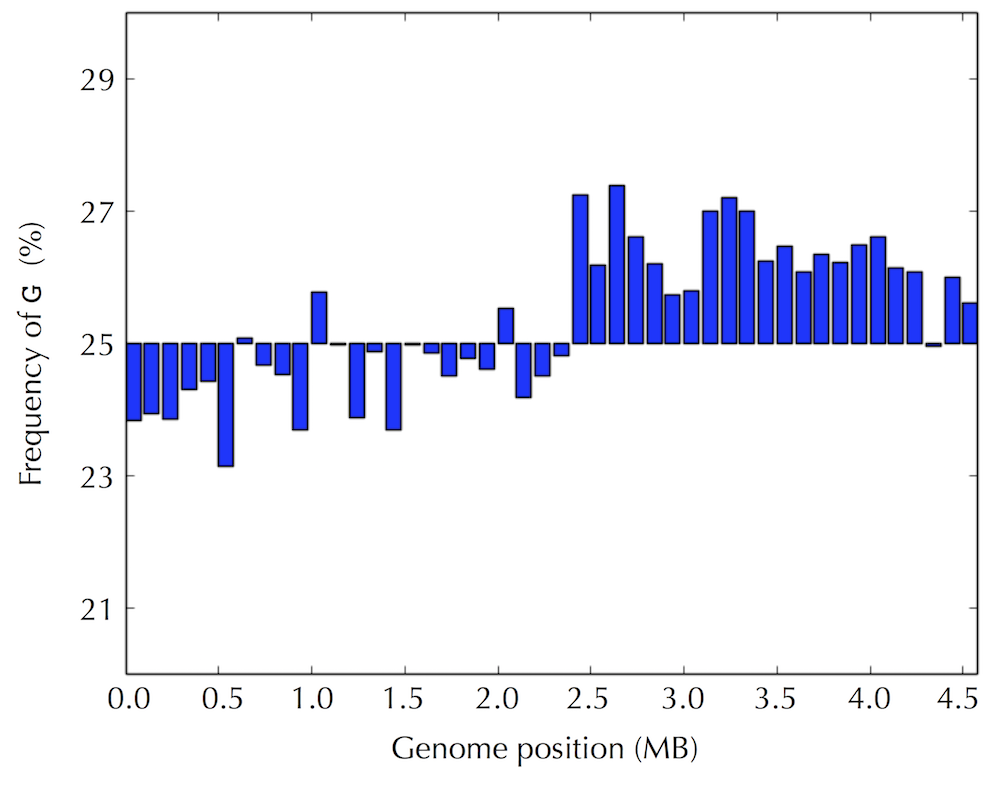 Ecoli guanine frequency